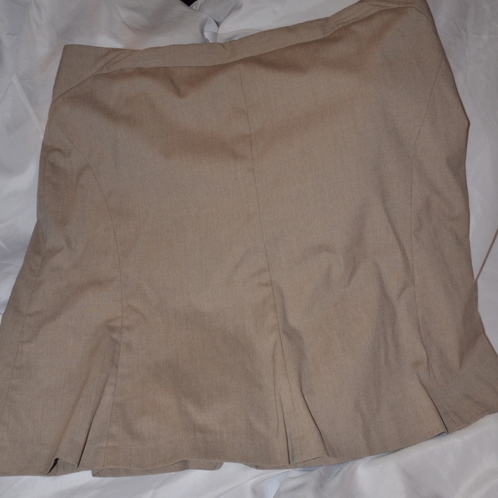 The Limited Full Skirt